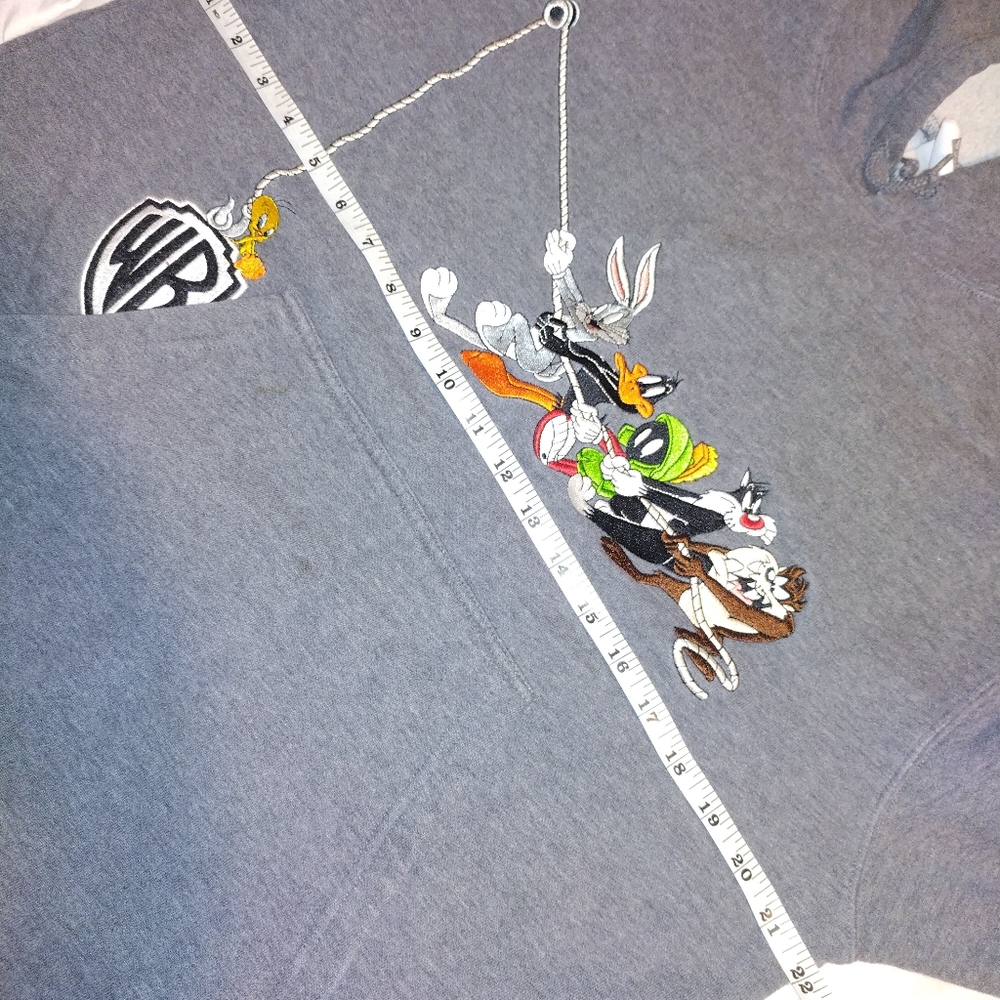 Vintage Looney Toons Warner Bros Pull Over Hoodie M Women 1999 - Picture 5 of 11